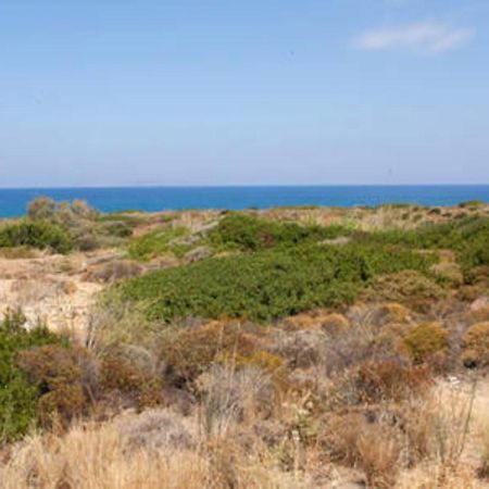 Makis Apartments Agia Fotia Sitia Bagian luar foto