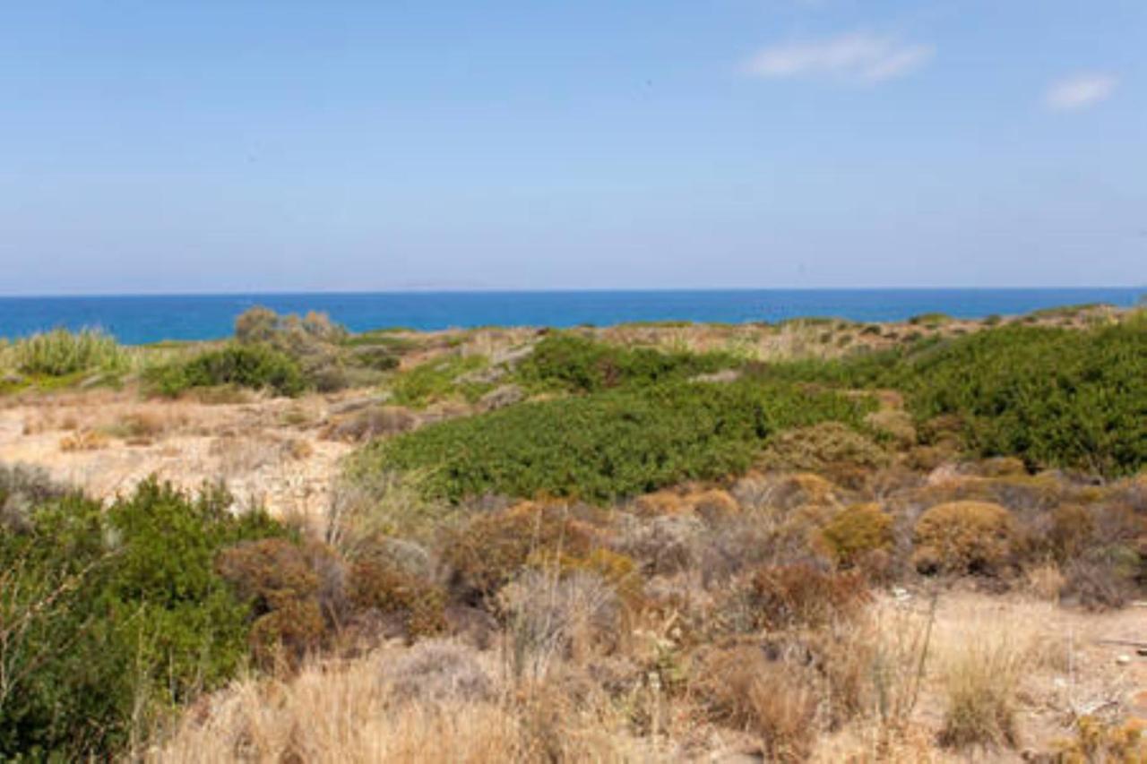 Makis Apartments Agia Fotia Sitia Bagian luar foto