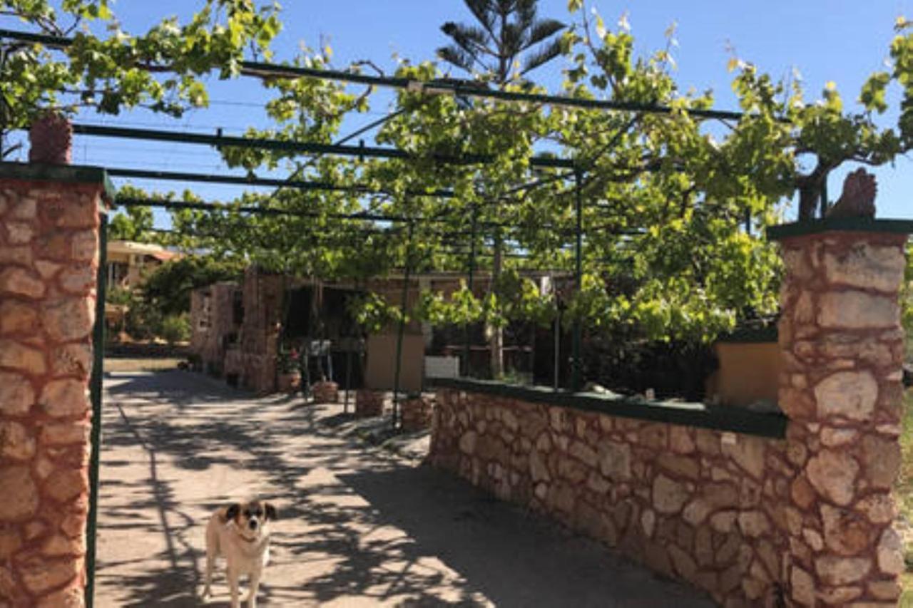Makis Apartments Agia Fotia Sitia Bagian luar foto